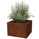 Jardiniere