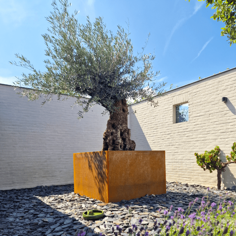 Jardiniere sudată din oțel corten Montana 120 x 120 x 80 cm