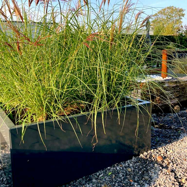 Jardinieră din oțel acoperit cu pulbere Texas 30 x 60 cm