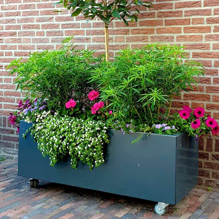 Jardinieră din oțel acoperit cu pulbere Texas 50 x 120 cm
