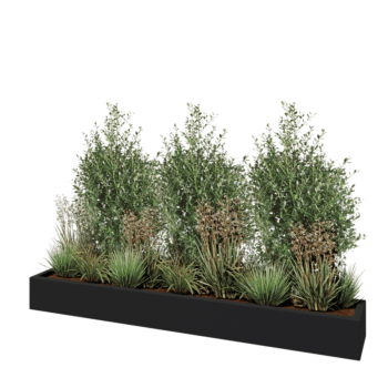 Jardinieră din fibră de sticlă - Dreptunghi - 200 x 30 x 20 cm - RAL7021 mat (gri negru) - Cu fund