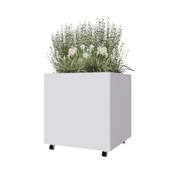 Jardinieră din oțel - Pătrat - 80 x 80 x 80 cm - RAL9010 mat (alb) - Cu placă de bază - Cu roți