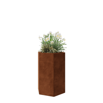 Jardinieră din oțel corten - Hexagonal - 59,3 x 52 x 80 cm - Fără placă de bază