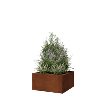 Jardinieră din oțel corten - Pătrat - 60 x 60 x 30 cm - Fără placă de bază