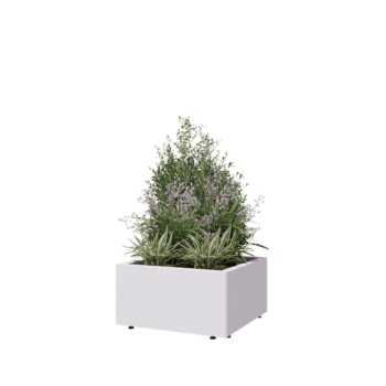 Jardinieră din oțel - Pătrat - 60 x 60 x 30 cm - RAL9010 mat (alb) - Cu placă de bază - Cu picioare