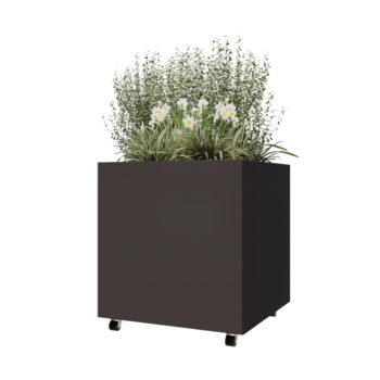 Jardinieră din oțel - Pătrat - 80 x 80 x 80 cm - RAL7016 mat (gri antracit) - Cu placă de bază - Cu roți