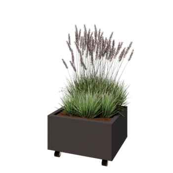 Jardinieră din oțel - Dreptunghiular - 60 x 50 x 30 cm - RAL7016 mat (gri antracit) - Cu placă de bază - Cu roți