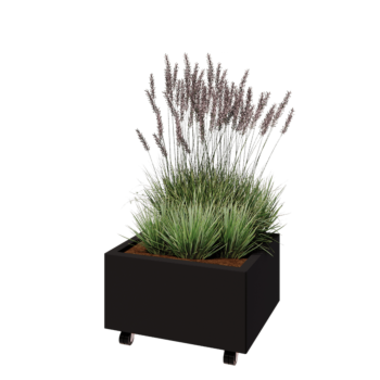 Jardinieră din oțel - Dreptunghiular - 60 x 50 x 30 cm - RAL9005 mat (negru) - Cu placă de bază - Cu roți