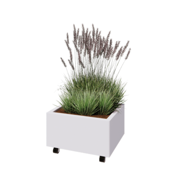 Jardinieră din oțel - Dreptunghiular - 60 x 50 x 30 cm - RAL9010 mat (alb) - Cu placă de bază - Cu roți