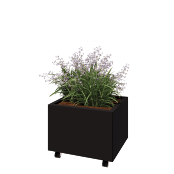 Jardinieră din oțel - Dreptunghiular - 60 x 50 x 40 cm - RAL9005 mat (negru) - Cu placă de bază - Cu roți