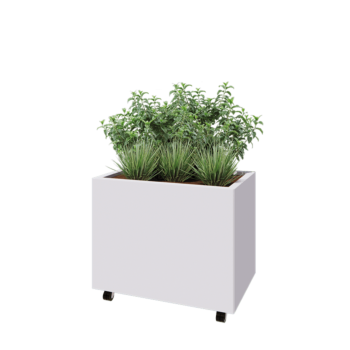 Jardinieră din oțel - Dreptunghiular - 80 x 50 x 60 cm - RAL9010 mat (alb) - Cu placă de bază - Cu roți