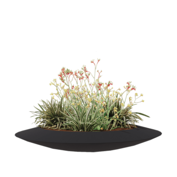 Jardinieră din fibră de sticlă - Vas - Ø 120 x 20 cm - RAL7021 mat (gri negru) - Cu fund