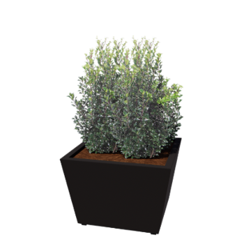 Jardinieră din oțel - Conic - 80 x 80 x 51,5 cm - Sudat - RAL9005 mat (negru) - Cu placă de bază