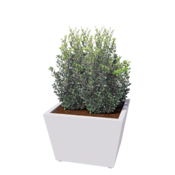 Jardinieră din oțel - Conic - 80 x 80 x 51,5 cm - Sudat - RAL9010 mat (alb) - Cu placă de bază