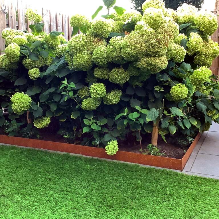Separator de gazon din oțel corten formă aplatizată 13 cm (lungime 150 cm)