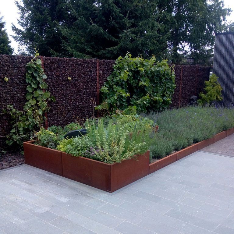 Perete de susținere din oțel corten formă dreaptă 100 cm (înălțime 30 cm)