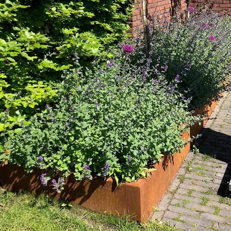Perete de susținere din oțel corten formă dreaptă 100 cm (înălțime 50 cm)