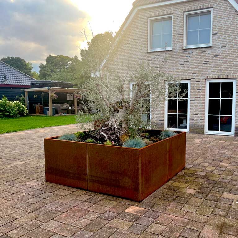 Jardinieră din oțel corten Miami xxl 240 x 240 cm
