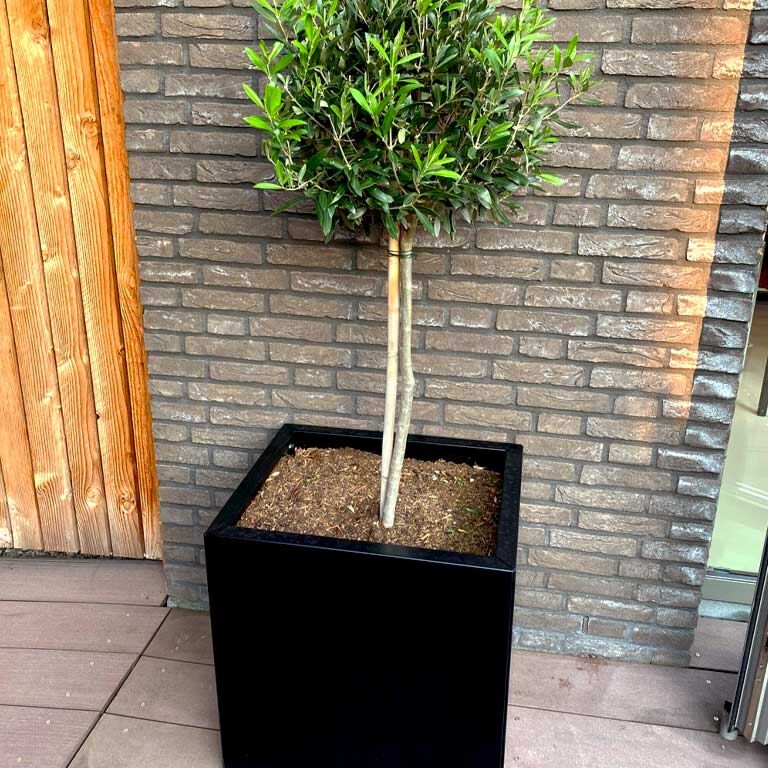 Jardinieră din oțel acoperit cu pulbere Texas 30 x 40 cm