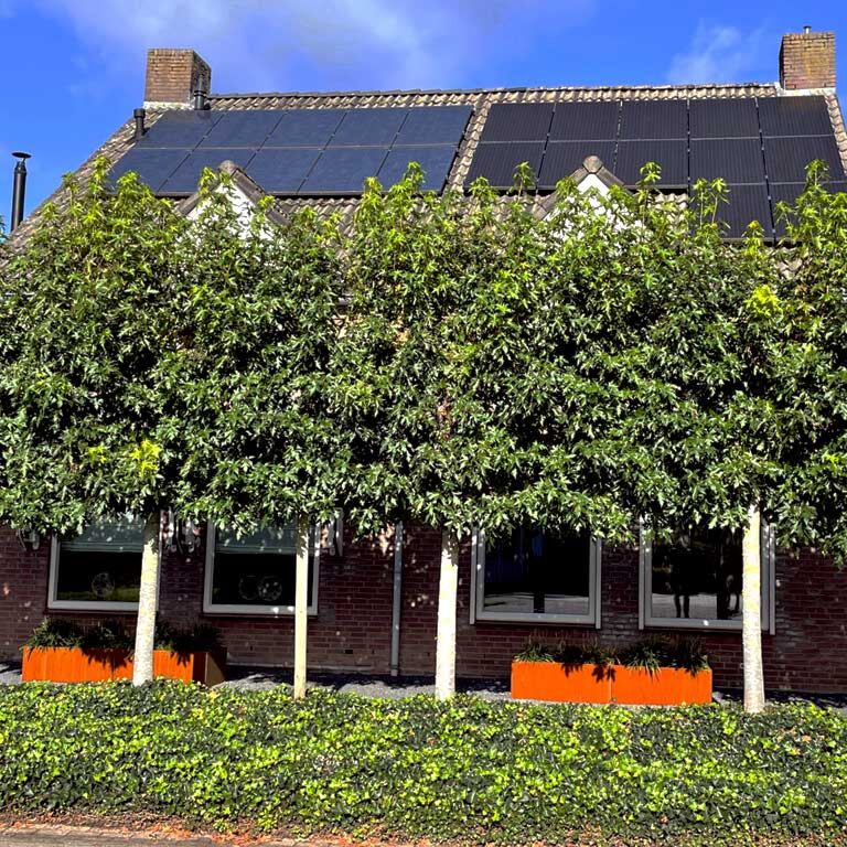Jardinieră din oțel corten Texas xxl 200 x 60 cm