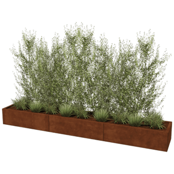 Jardinieră din oțel corten Texas xxl 300 x 50 cm