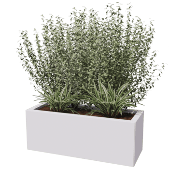 Jardinieră din oțel acoperit cu pulbere Texas 30 x 80 cm