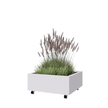 Jardinieră din oțel - Pătrat - 80 x 80 x 30 cm - RAL9010 mat (alb) - Cu placă de bază - Cu roți