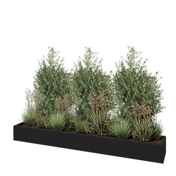 Jardinieră din fibră de sticlă - Dreptunghi - 200 x 30 x 20 cm - RAL7021 mat (gri negru) - Cu fund
