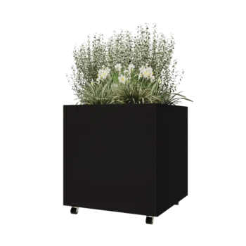 Jardinieră din oțel - Pătrat - 80 x 80 x 80 cm - RAL9005 mat (negru) - Cu placă de bază - Cu roți