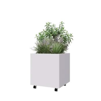 Jardinieră din oțel - Pătrat - 60 x 60 x 60 cm - RAL9010 mat (alb) - Cu placă de bază - Cu roți