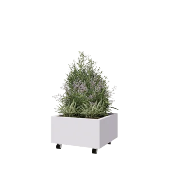 Jardinieră din oțel - Pătrat - 60 x 60 x 30 cm - RAL9010 mat (alb) - Cu placă de bază - Cu roți