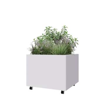 Jardinieră din oțel - Pătrat - 80 x 80 x 60 cm - RAL9010 mat (alb) - Cu placă de bază - Cu roți