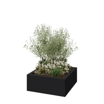 Jardinieră din fibră de sticlă - Pătrat - 100 x 100 x 40 cm - RAL7021 mat (gri negru) - Cu fund