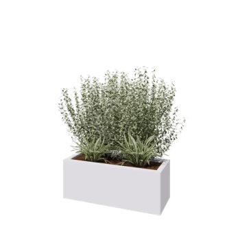 Jardinieră din oțel - Dreptunghiular - 80 x 30 x 30 cm - RAL9010 mat (alb) - Fără placă de bază