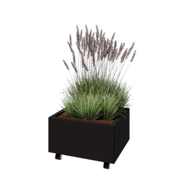 Jardinieră din oțel - Dreptunghiular - 60 x 50 x 30 cm - RAL9005 mat (negru) - Cu placă de bază - Cu roți