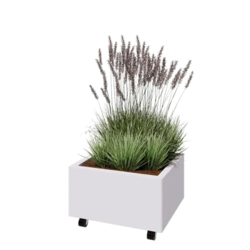 Jardinieră din oțel - Dreptunghiular - 60 x 50 x 30 cm - RAL9010 mat (alb) - Cu placă de bază - Cu roți