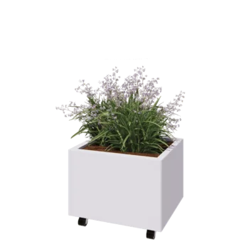 Jardinieră din oțel - Dreptunghiular - 60 x 50 x 40 cm - RAL9010 mat (alb) - Cu placă de bază - Cu roți