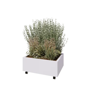 Jardinieră din oțel - Dreptunghiular - 80 x 60 x 30 cm - RAL9010 mat (alb) - Cu placă de bază - Cu roți