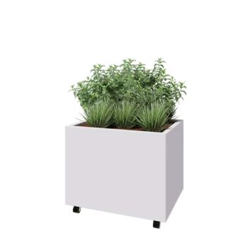 Jardinieră din oțel - Dreptunghiular - 80 x 60 x 60 cm - RAL9010 mat (alb) - Cu placă de bază - Cu roți