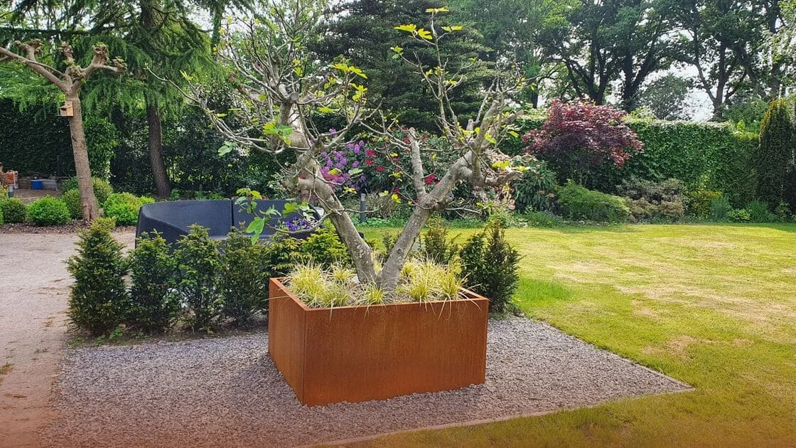 Cortenul este rău pentru mediu: oameni, mediu, plante și animale.