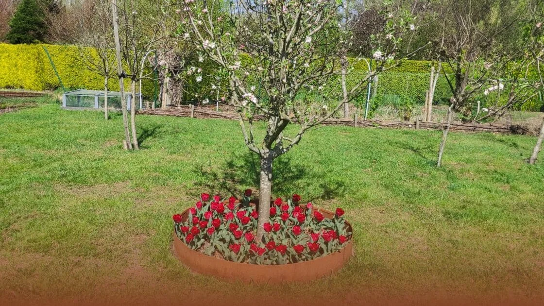 Cum faci un bord electric în jurul unui copac?