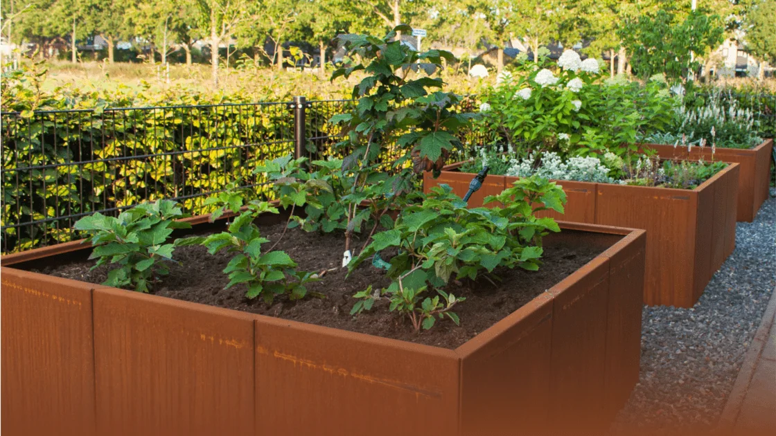 Ghidul Corten: tot ce trebuie să știi despre acest material