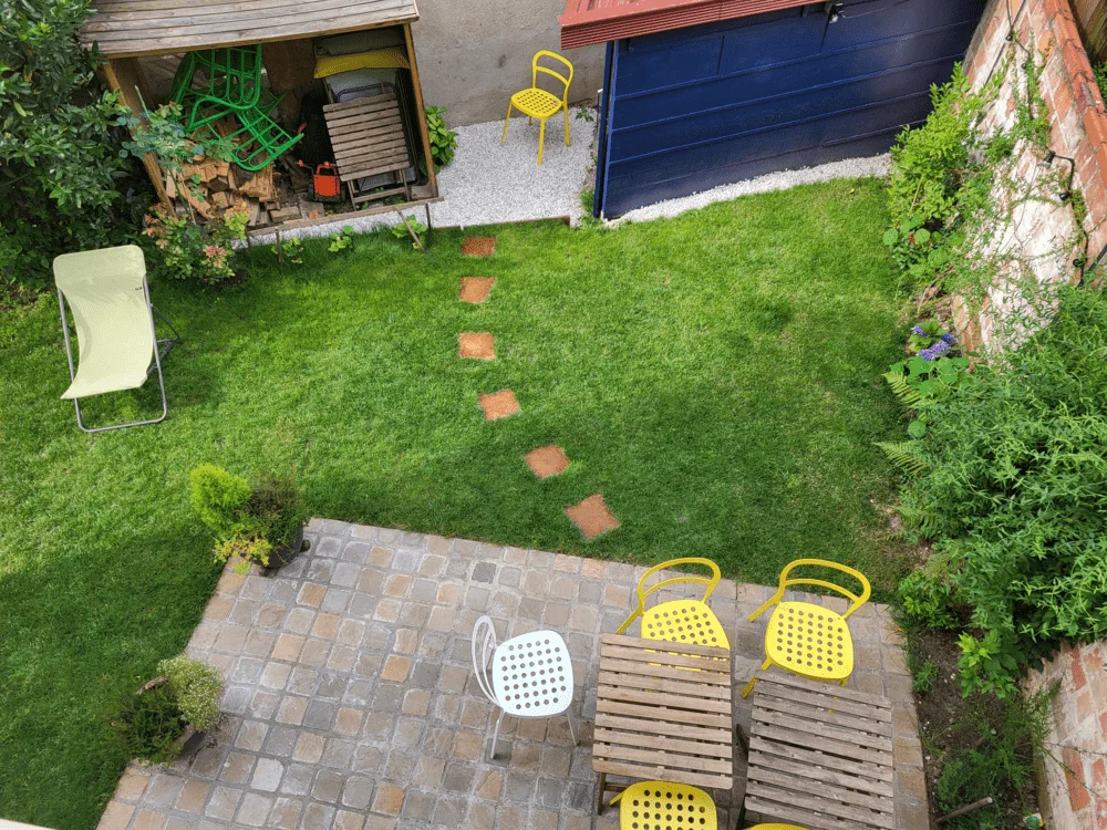 Ce plante se potrivesc cel mai bine în jurul plăcilor de trecere?